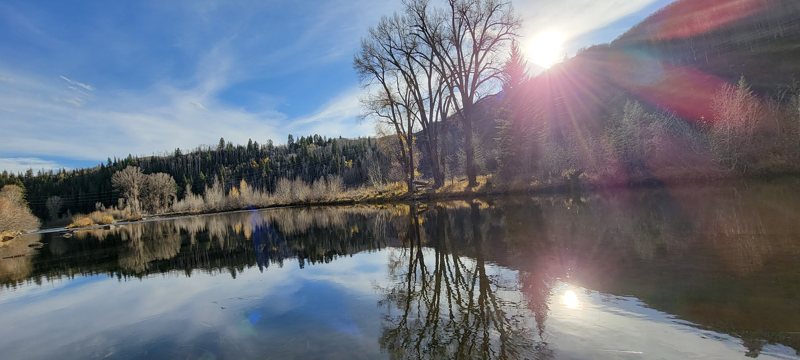 Mirror-still pond reflecting bare trees and a sunburst