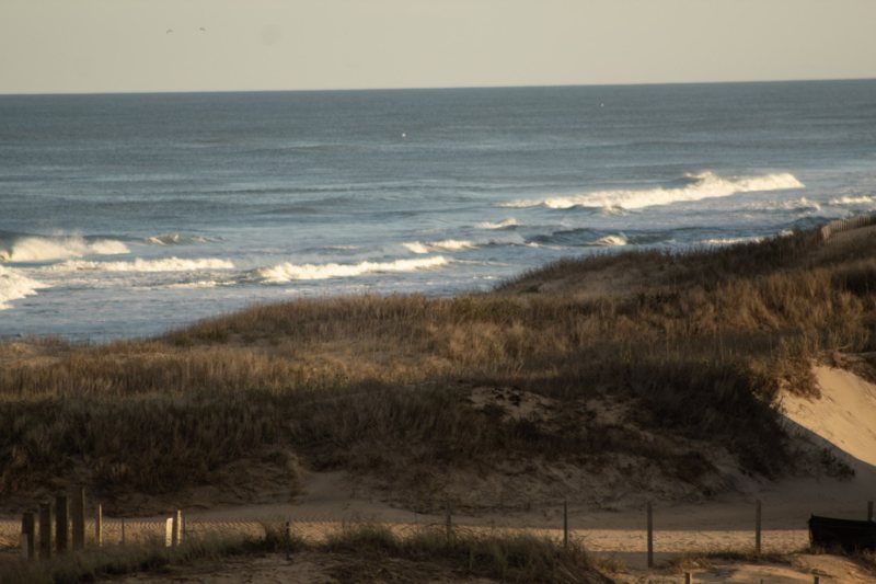 Breaking waves beyond grassy beach dunes and a fence